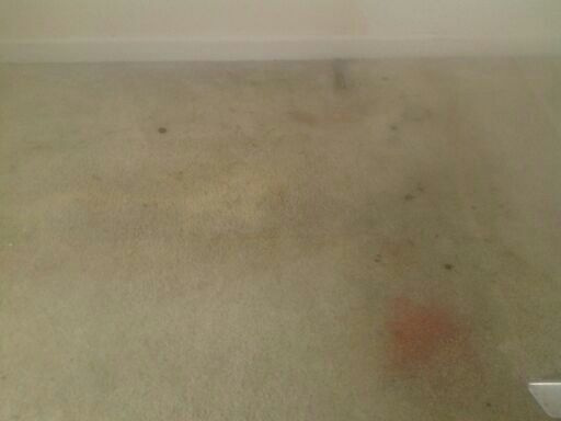 Extremely Dirty Carpet Before Cleaning in Atlanta GA