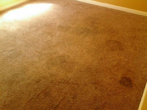 Dirty Carpet Before Cleaning in Atlanta GA