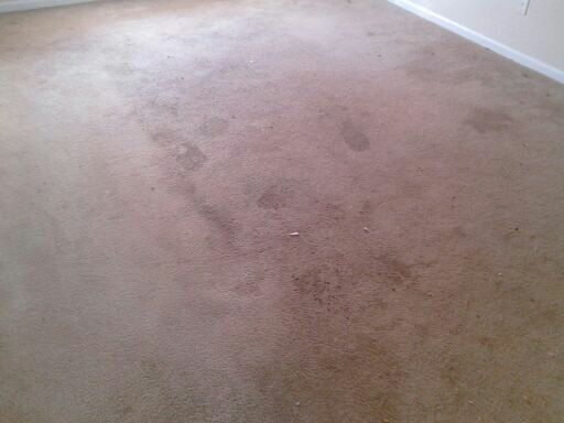 Filthy Carpet Before Cleaning in Stockbridge GA