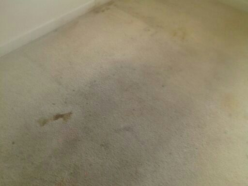 Carpet is extremely dirty before cleaning in Atlanta GA